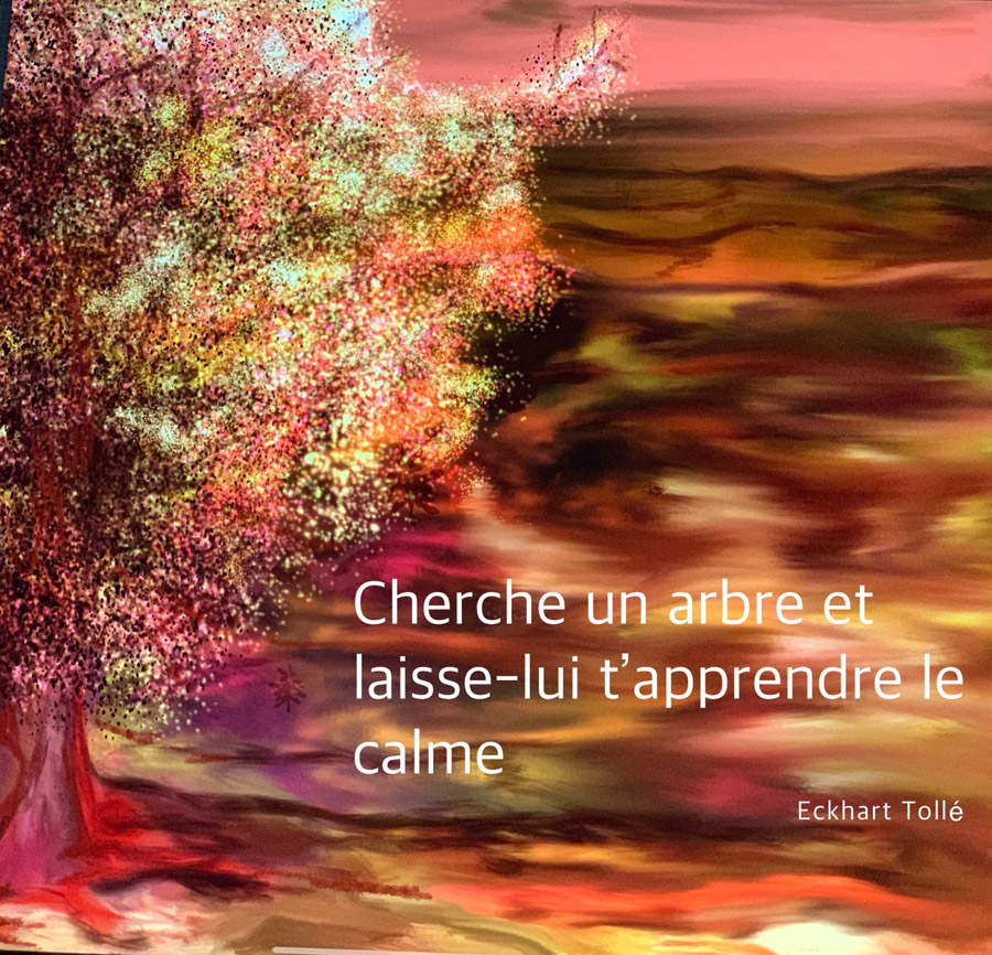 Eckhart Tolle : cherche un arbre et laisse lui t'apprendre le calme