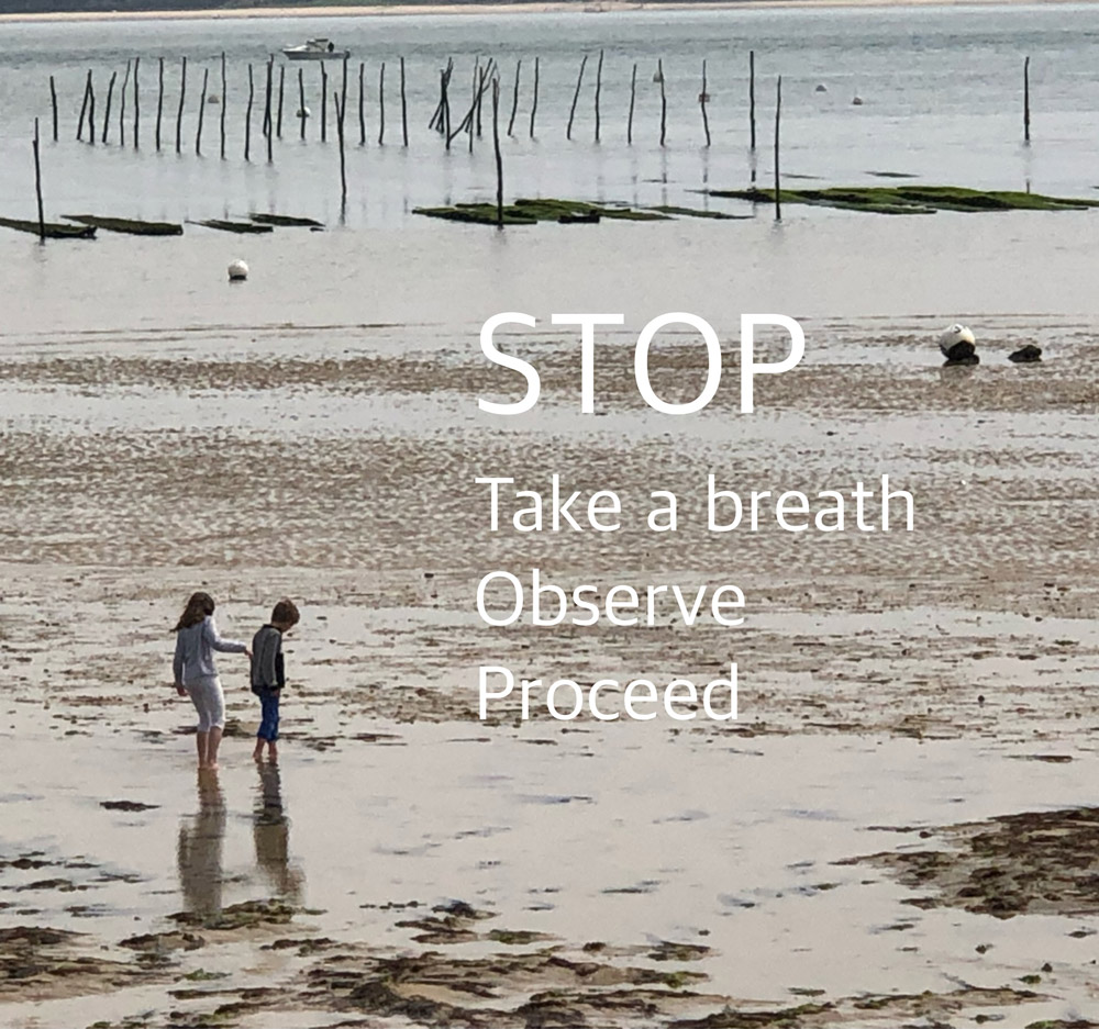 Stop, take a breath, observe, proceed